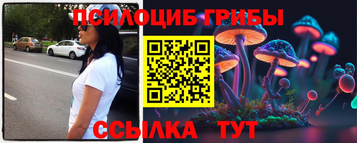 Галлюциногенные грибы мицелий  Вход с VPN  Сосновоборск  Галлюциногенные грибы ЛСД 