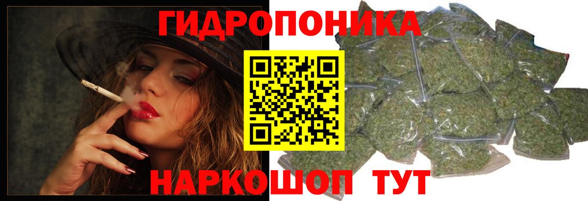 Шишки марихуана планчик  Вход с VPN  Марихуана LSD WEED  Шишки марихуана LSD WEED  Сосновоборск  Марихуана MAZAR 